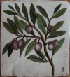 Olive I